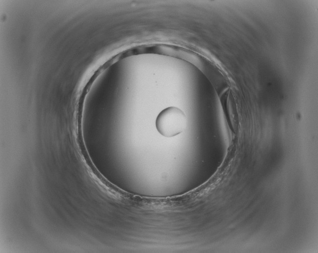 X0000067911512200604171326