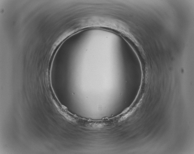 X0000067911513200604171326