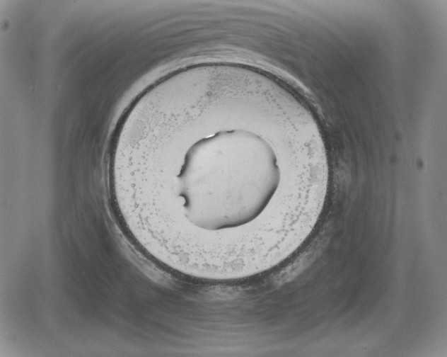 X0000067911514200604171326