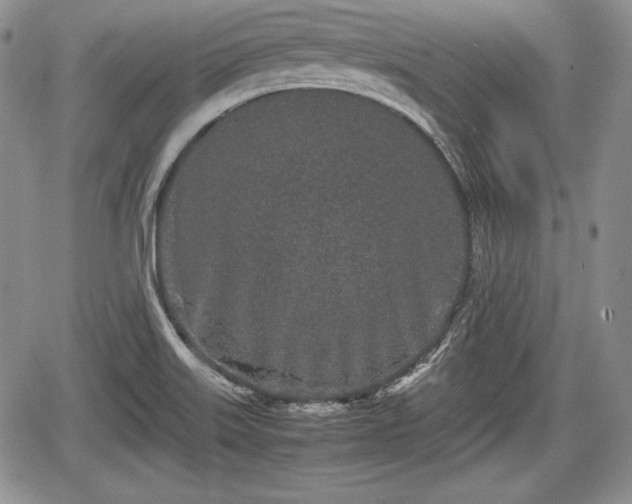 X0000067911515200604171326