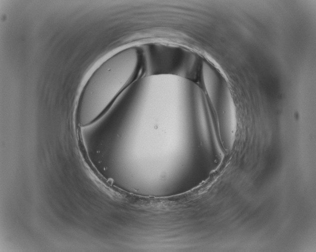 X0000067911516200604171326