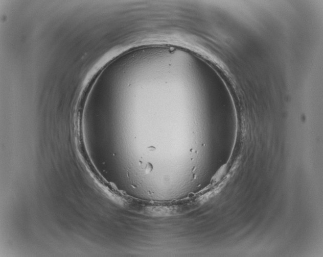 X0000067911517200604171326