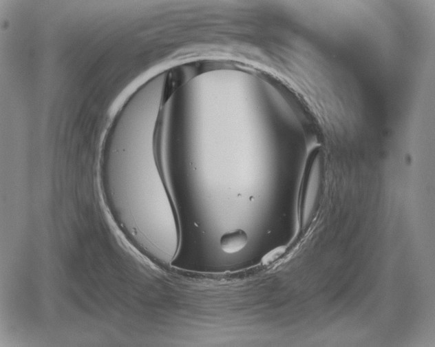 X0000067911518200604171326