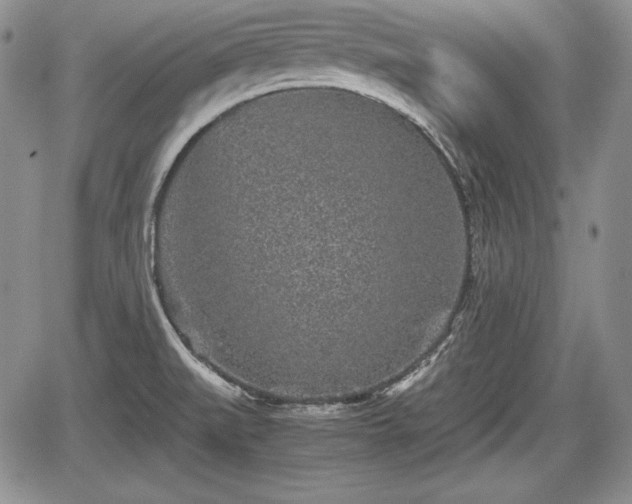 X0000067911519200604171326