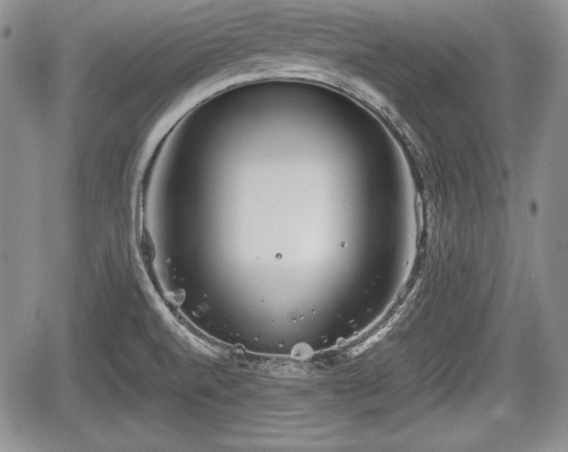 X0000067911520200604171326