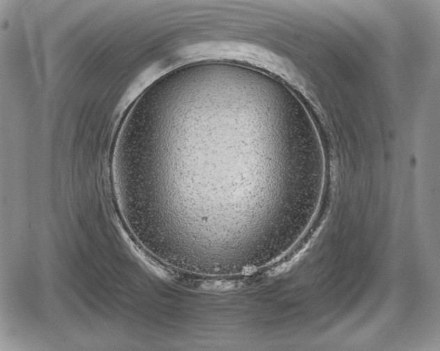 X0000067911521200604171326