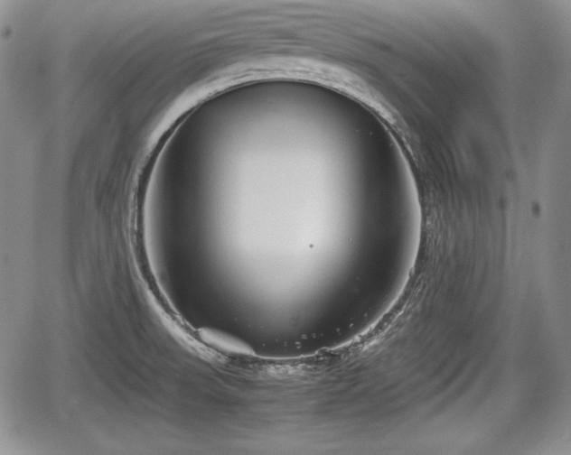 X0000067911523200604171326