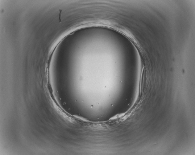 X0000067911524200604171326