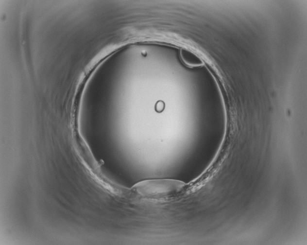 X0000067911525200604171326