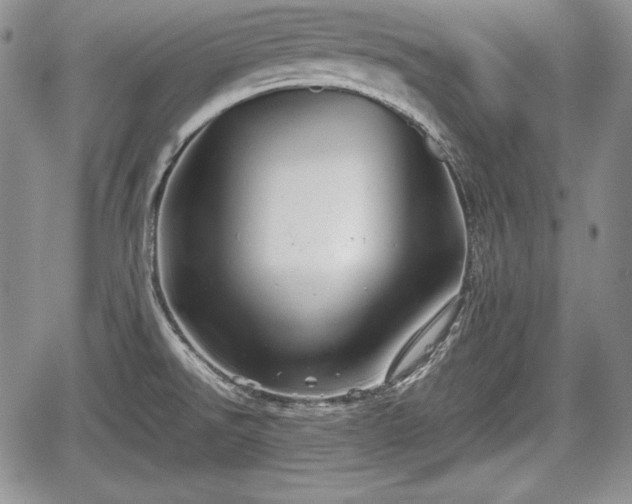 X0000067911526200604171326