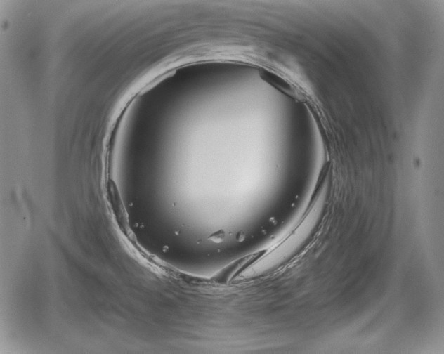 X0000067911528200604171326