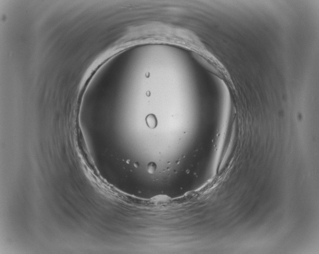 X0000067911530200604171326