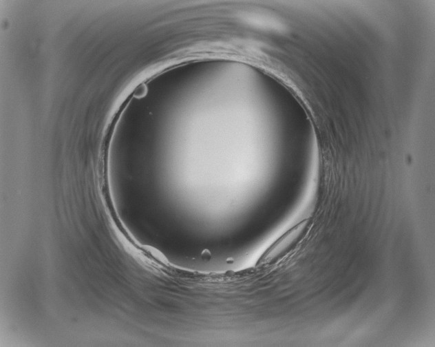 X0000067911531200604171326