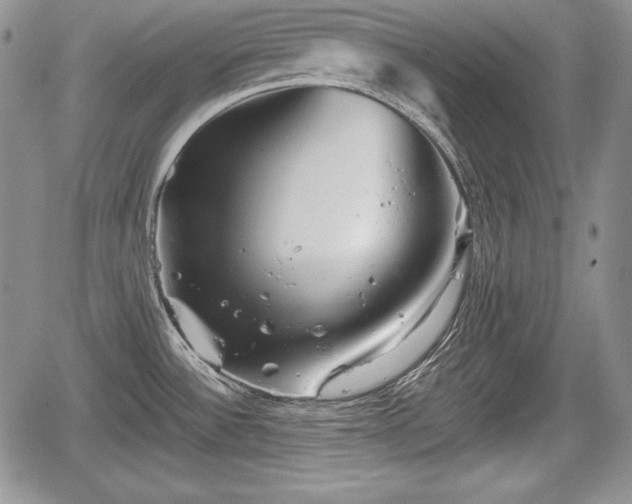 X0000067911532200604171326