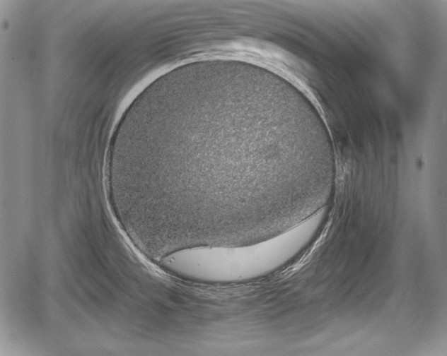 X0000067911533200604171326