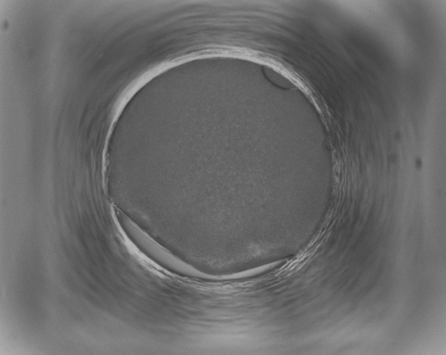 X0000067911535200604171326