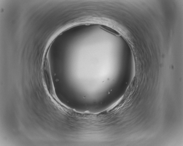 X0000067911536200604171326