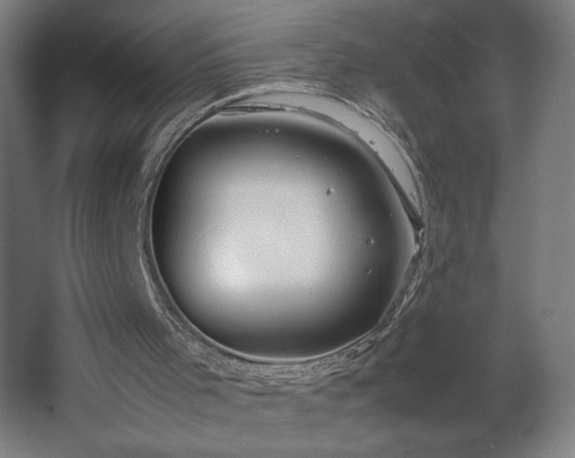 X0000067910001200604201416