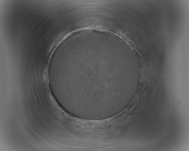 X0000067910002200604201416