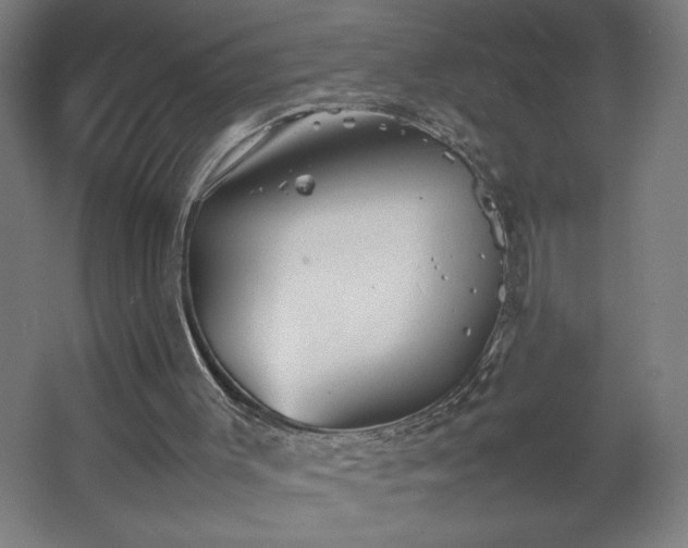 X0000067910003200604201416