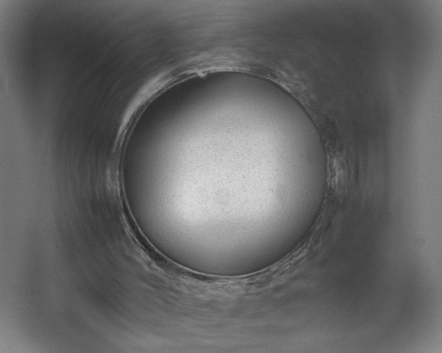 X0000067910004200604201416