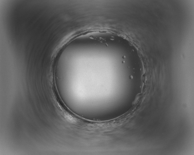 X0000067910005200604201416