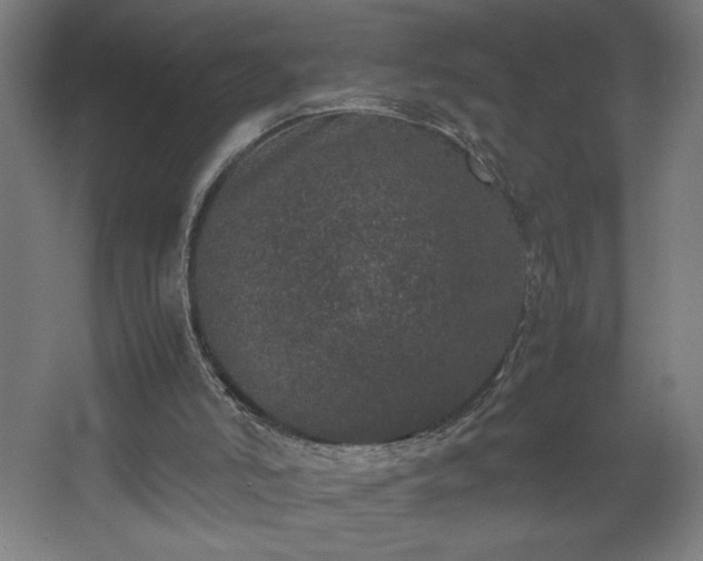 X0000067910006200604201416