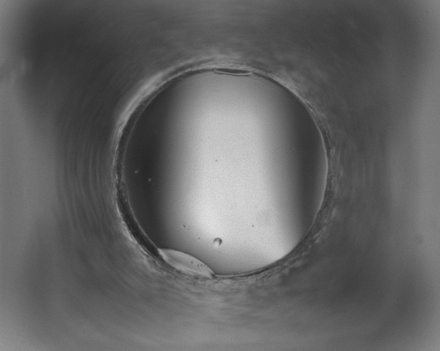 X0000067910007200604201416