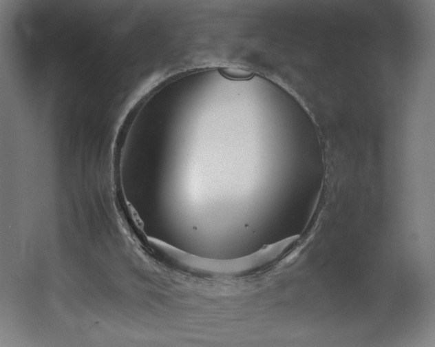 X0000067910008200604201416