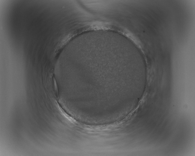 X0000067910009200604201416