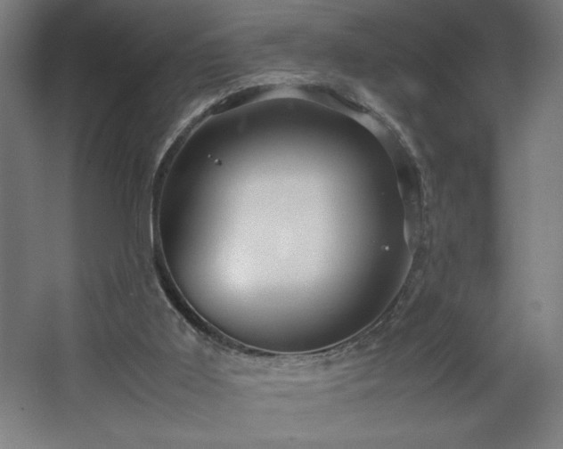 X0000067910011200604201416