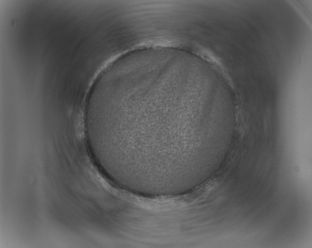 X0000067910012200604201416