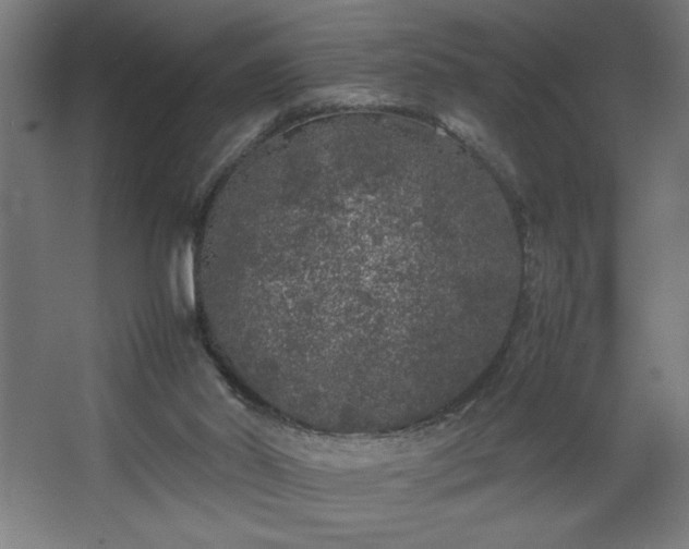 X0000067910014200604201416