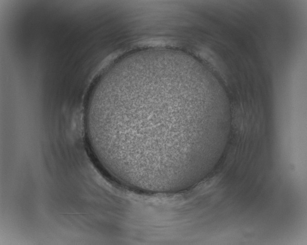 X0000067910016200604201416