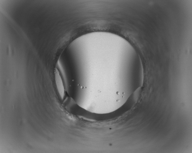 X0000067910017200604201416