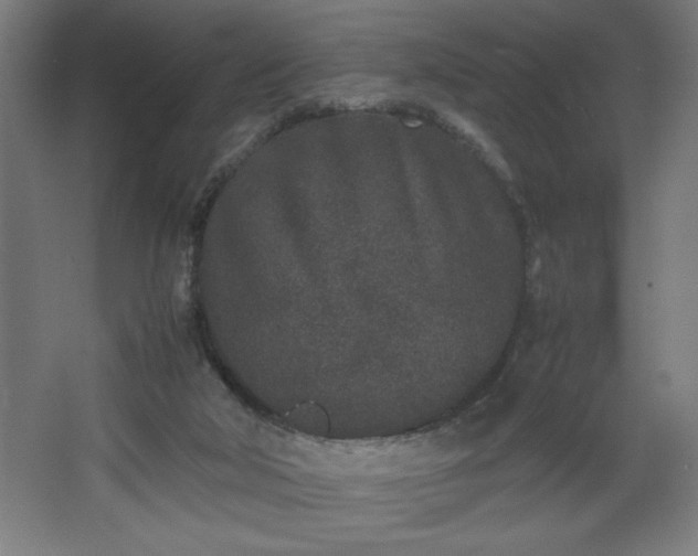 X0000067910018200604201416