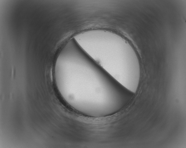 X0000067910019200604201416