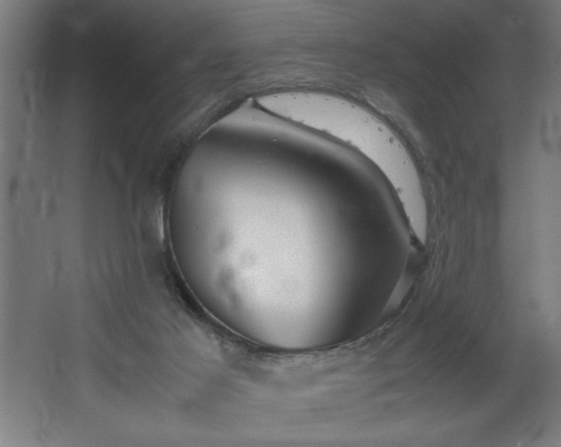 X0000067910021200604201416