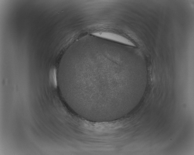 X0000067910022200604201416