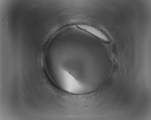 X0000067910023200604201416