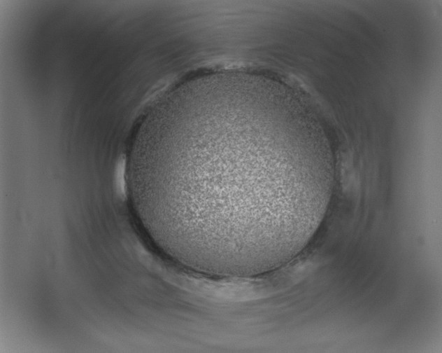 X0000067910024200604201416