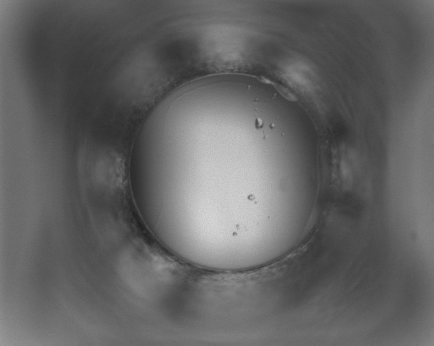 X0000067910025200604201416