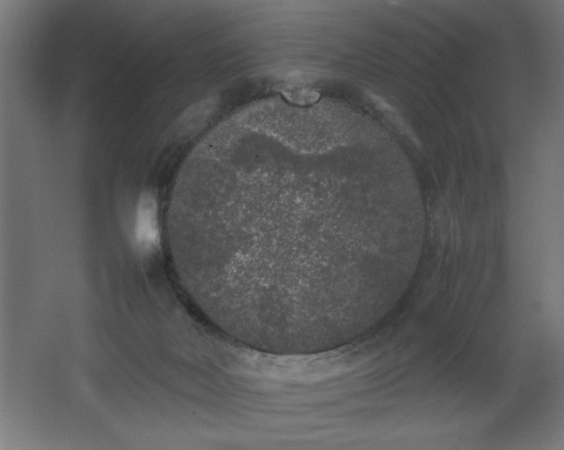 X0000067910026200604201416