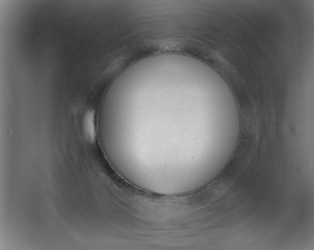 X0000067910028200604201416