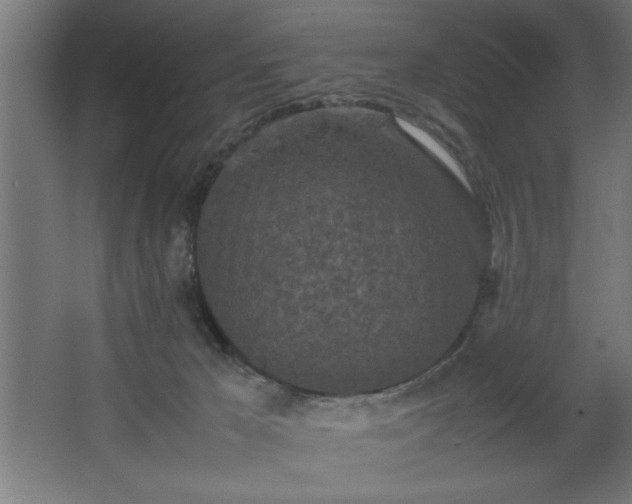 X0000067910029200604201416