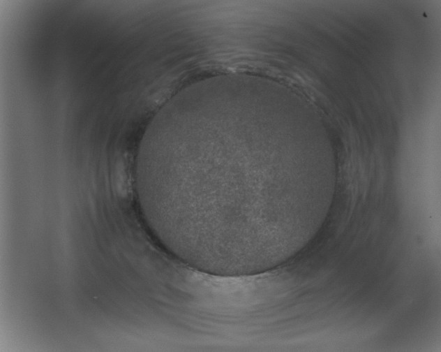 X0000067910030200604201416