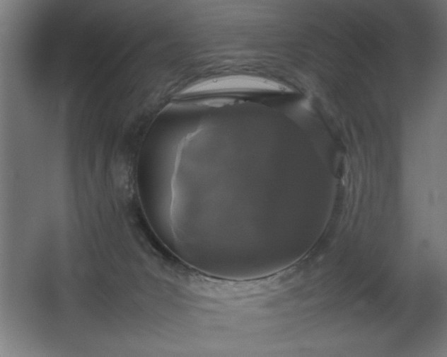 X0000067910031200604201416