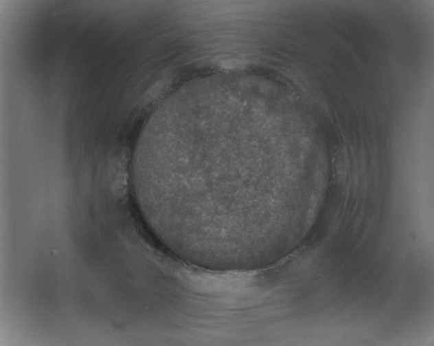 X0000067910032200604201416