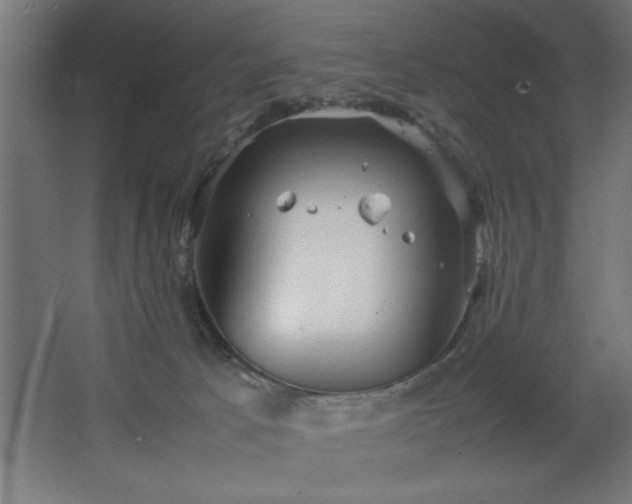 X0000067910033200604201416