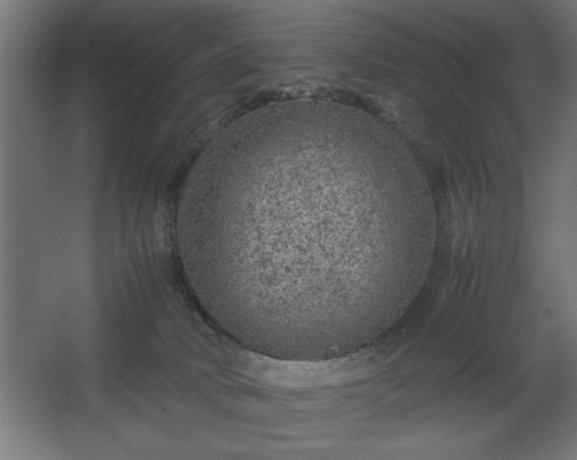 X0000067910034200604201416